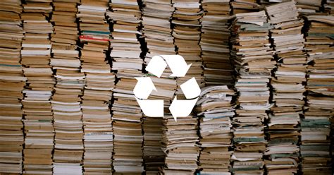 where to recycle old books? exploring various options for sustainable book disposal